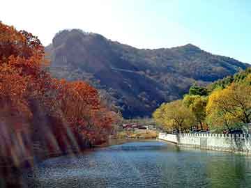 新澳天天开奖资料大全旅游团，濮阳惠成